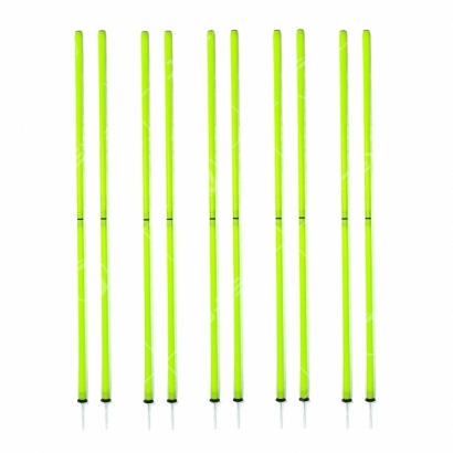 Two-Section Slalom Pole Set 1.jpg